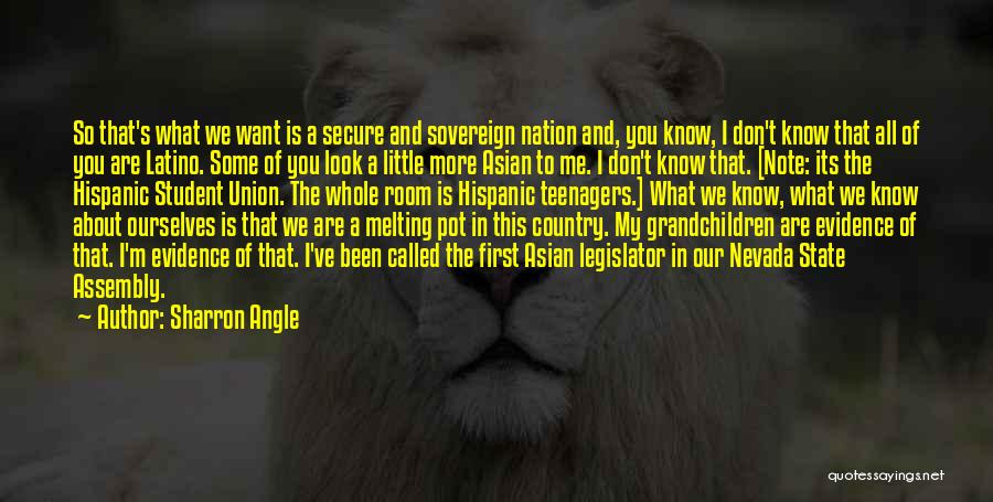 Sharron Angle Quotes: So That's What We Want Is A Secure And Sovereign Nation And, You Know, I Don't Know That All Of