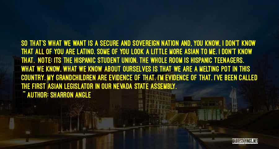 Sharron Angle Quotes: So That's What We Want Is A Secure And Sovereign Nation And, You Know, I Don't Know That All Of