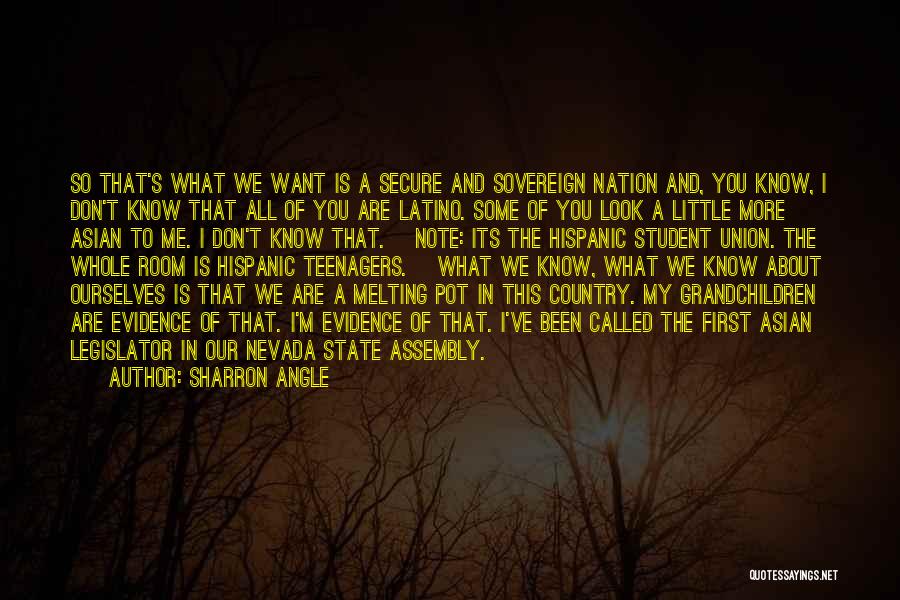 Sharron Angle Quotes: So That's What We Want Is A Secure And Sovereign Nation And, You Know, I Don't Know That All Of