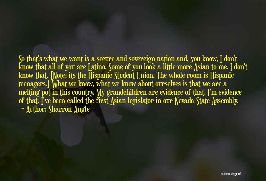 Sharron Angle Quotes: So That's What We Want Is A Secure And Sovereign Nation And, You Know, I Don't Know That All Of