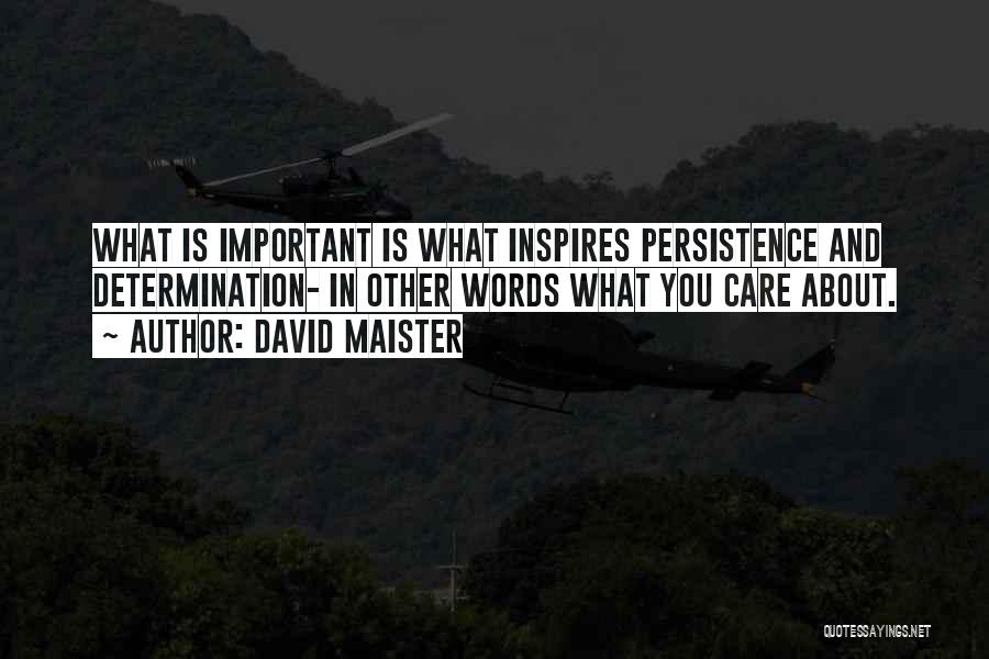 David Maister Quotes: What Is Important Is What Inspires Persistence And Determination- In Other Words What You Care About.