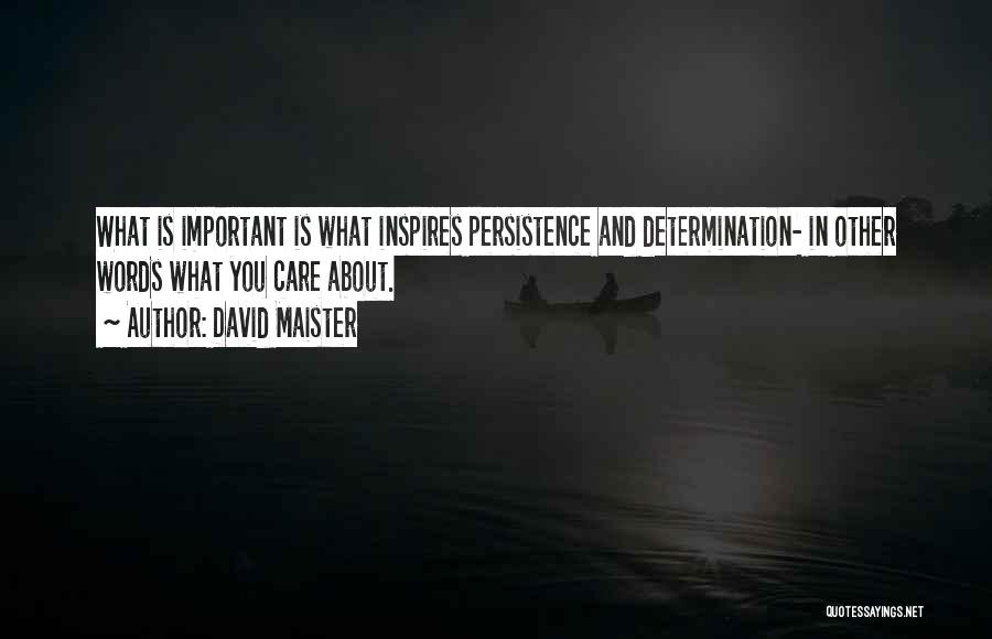 David Maister Quotes: What Is Important Is What Inspires Persistence And Determination- In Other Words What You Care About.