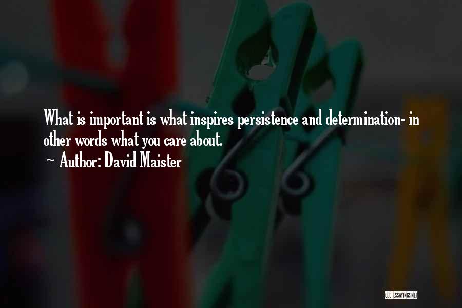 David Maister Quotes: What Is Important Is What Inspires Persistence And Determination- In Other Words What You Care About.