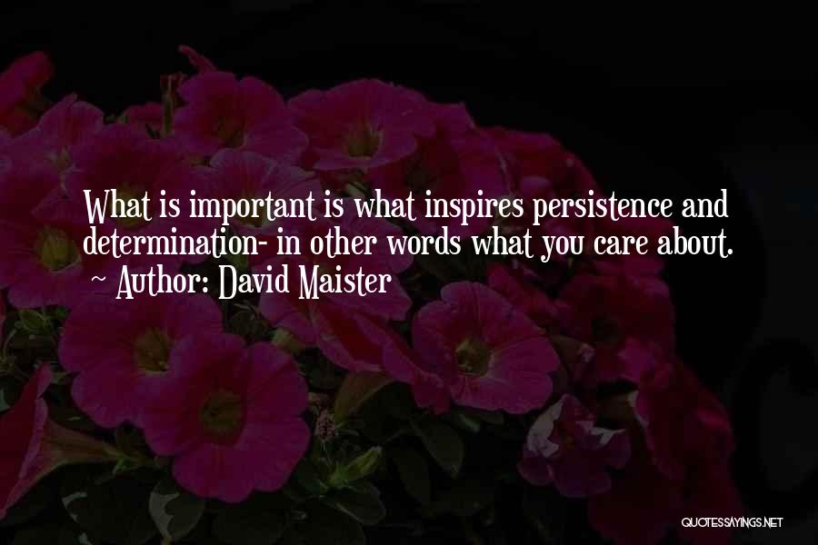 David Maister Quotes: What Is Important Is What Inspires Persistence And Determination- In Other Words What You Care About.