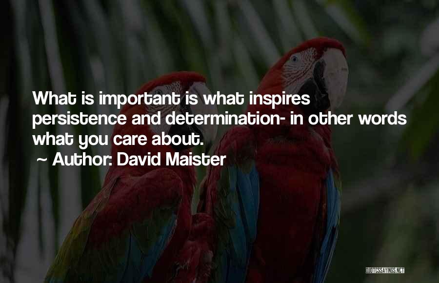 David Maister Quotes: What Is Important Is What Inspires Persistence And Determination- In Other Words What You Care About.