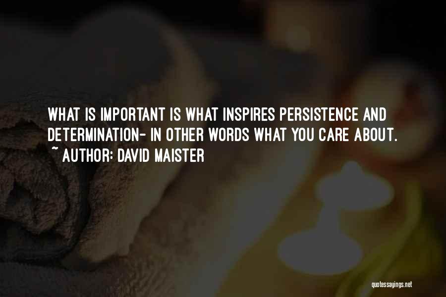 David Maister Quotes: What Is Important Is What Inspires Persistence And Determination- In Other Words What You Care About.