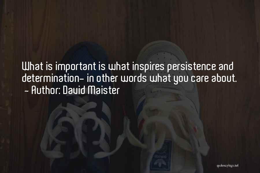 David Maister Quotes: What Is Important Is What Inspires Persistence And Determination- In Other Words What You Care About.