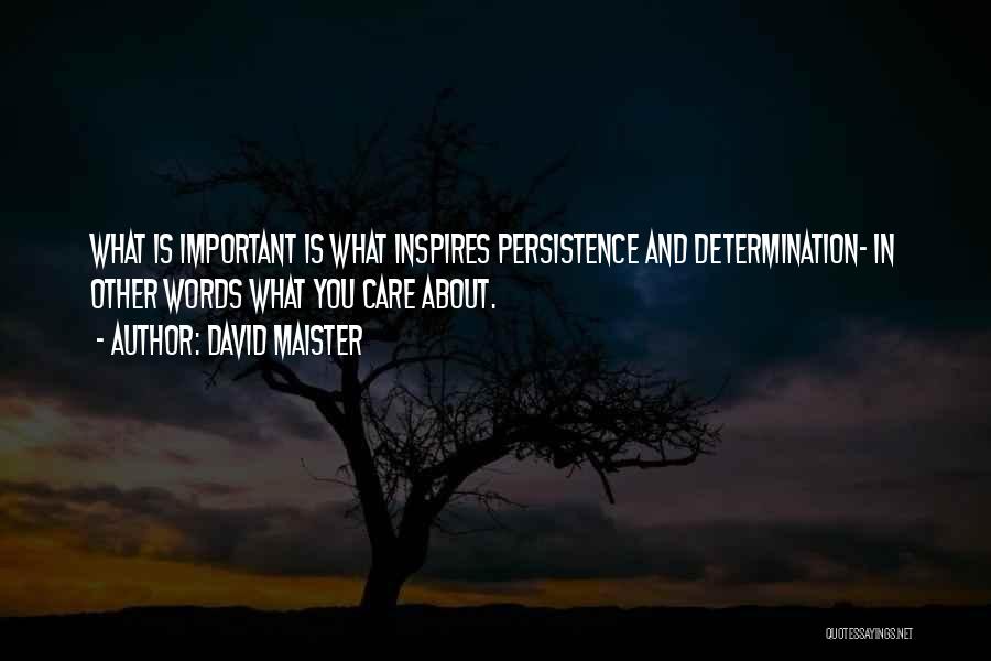 David Maister Quotes: What Is Important Is What Inspires Persistence And Determination- In Other Words What You Care About.