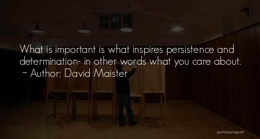 David Maister Quotes: What Is Important Is What Inspires Persistence And Determination- In Other Words What You Care About.