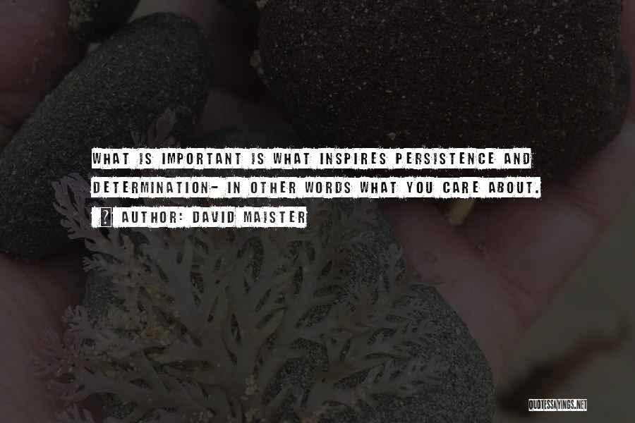 David Maister Quotes: What Is Important Is What Inspires Persistence And Determination- In Other Words What You Care About.