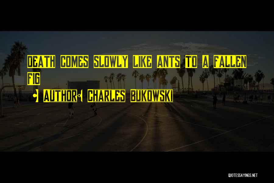 Charles Bukowski Quotes: Death Comes Slowly Like Ants To A Fallen Fig