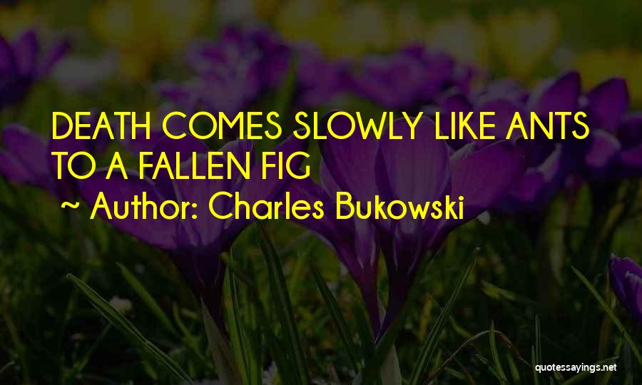 Charles Bukowski Quotes: Death Comes Slowly Like Ants To A Fallen Fig