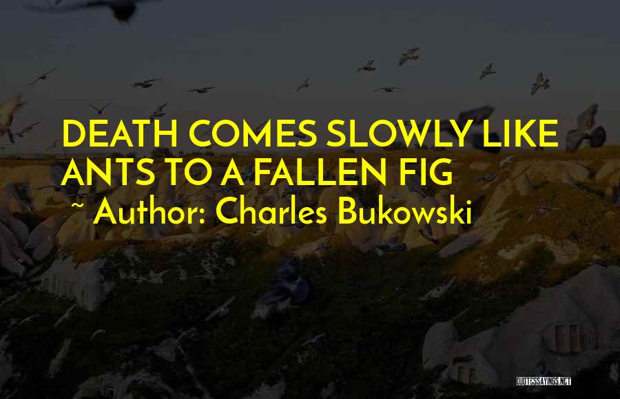 Charles Bukowski Quotes: Death Comes Slowly Like Ants To A Fallen Fig