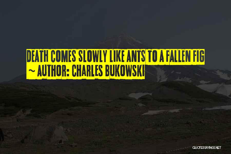Charles Bukowski Quotes: Death Comes Slowly Like Ants To A Fallen Fig