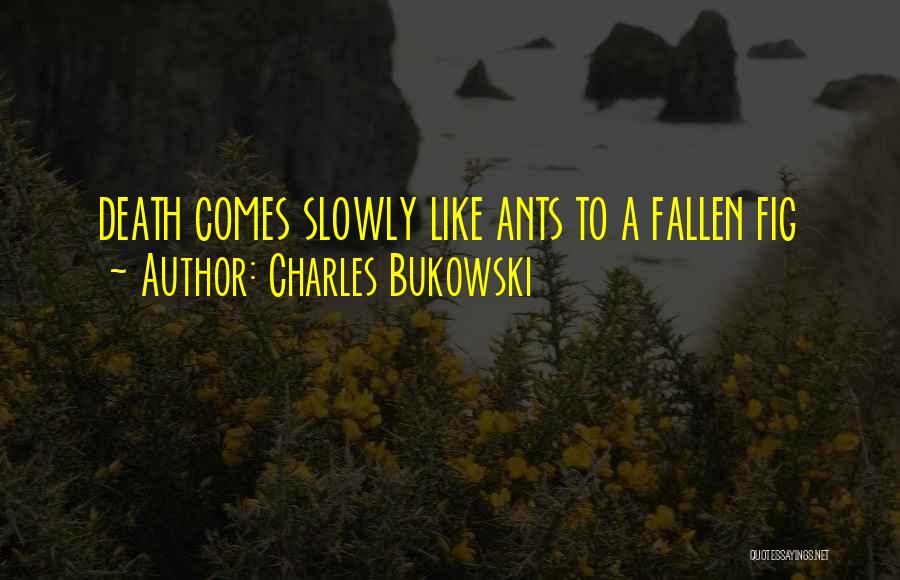 Charles Bukowski Quotes: Death Comes Slowly Like Ants To A Fallen Fig