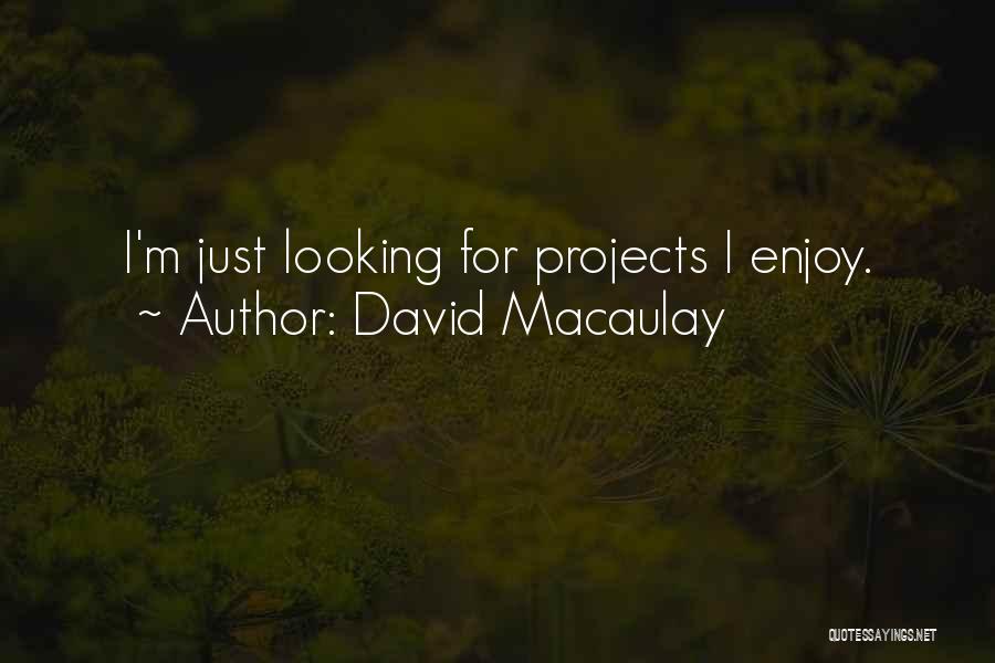 David Macaulay Quotes: I'm Just Looking For Projects I Enjoy.