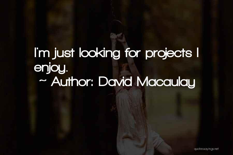 David Macaulay Quotes: I'm Just Looking For Projects I Enjoy.