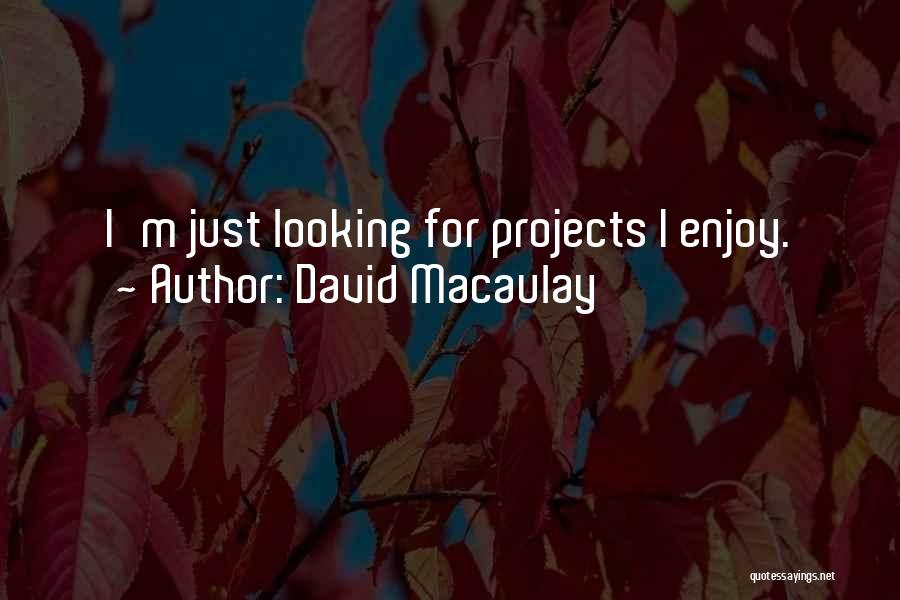 David Macaulay Quotes: I'm Just Looking For Projects I Enjoy.