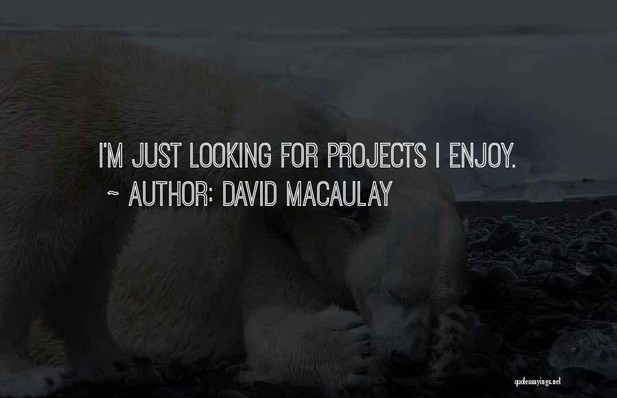 David Macaulay Quotes: I'm Just Looking For Projects I Enjoy.