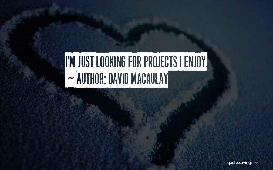 David Macaulay Quotes: I'm Just Looking For Projects I Enjoy.