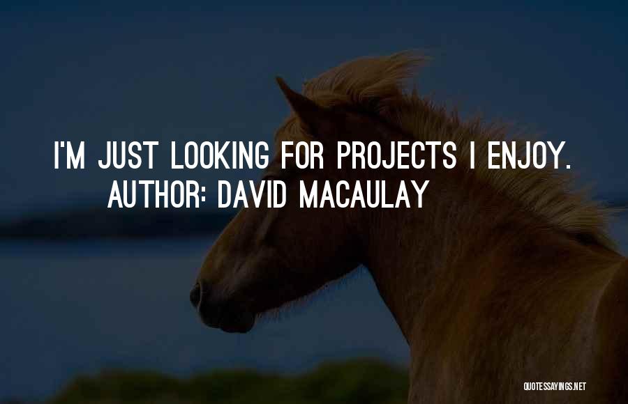 David Macaulay Quotes: I'm Just Looking For Projects I Enjoy.