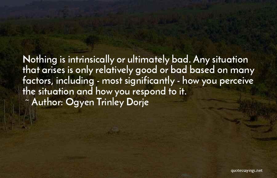 Ogyen Trinley Dorje Quotes: Nothing Is Intrinsically Or Ultimately Bad. Any Situation That Arises Is Only Relatively Good Or Bad Based On Many Factors,