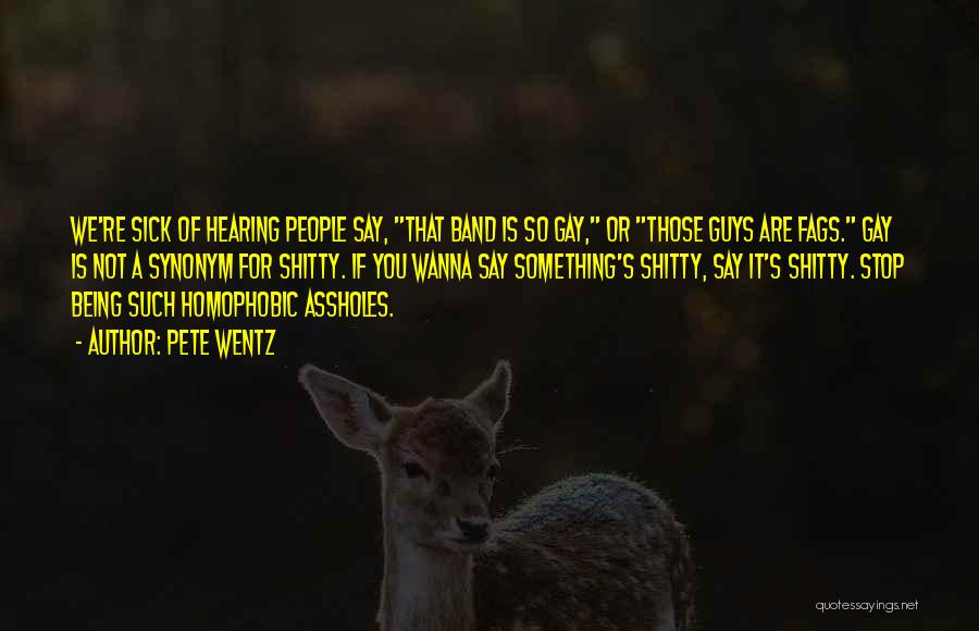 Pete Wentz Quotes: We're Sick Of Hearing People Say, That Band Is So Gay, Or Those Guys Are Fags. Gay Is Not A