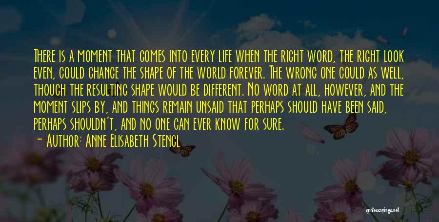 Anne Elisabeth Stengl Quotes: There Is A Moment That Comes Into Every Life When The Right Word, The Right Look Even, Could Change The