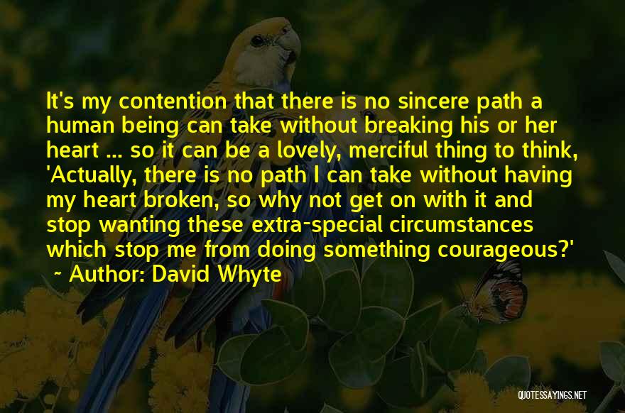 David Whyte Quotes: It's My Contention That There Is No Sincere Path A Human Being Can Take Without Breaking His Or Her Heart