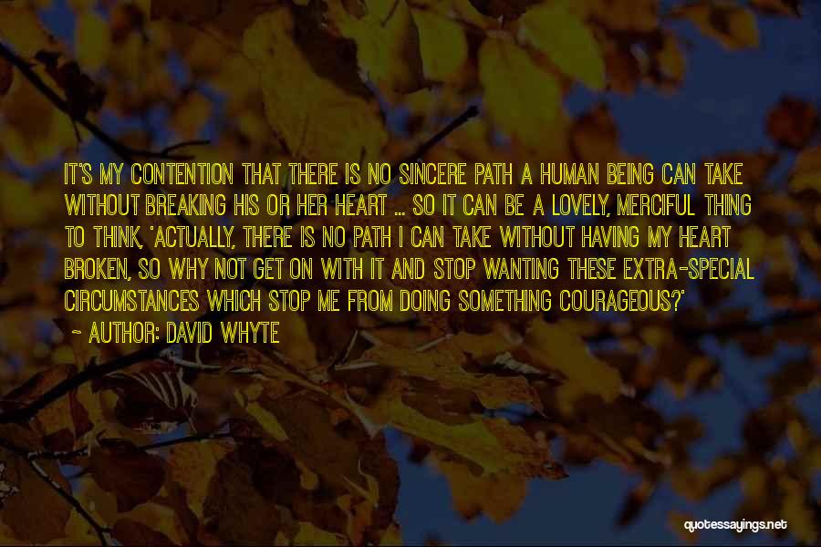 David Whyte Quotes: It's My Contention That There Is No Sincere Path A Human Being Can Take Without Breaking His Or Her Heart