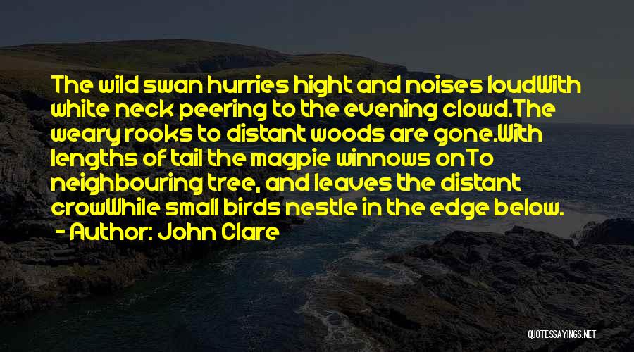 John Clare Quotes: The Wild Swan Hurries Hight And Noises Loudwith White Neck Peering To The Evening Clowd.the Weary Rooks To Distant Woods