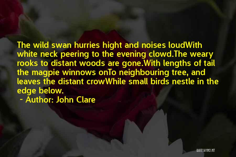 John Clare Quotes: The Wild Swan Hurries Hight And Noises Loudwith White Neck Peering To The Evening Clowd.the Weary Rooks To Distant Woods