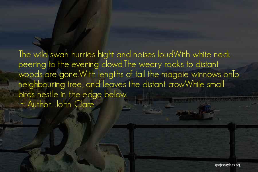 John Clare Quotes: The Wild Swan Hurries Hight And Noises Loudwith White Neck Peering To The Evening Clowd.the Weary Rooks To Distant Woods