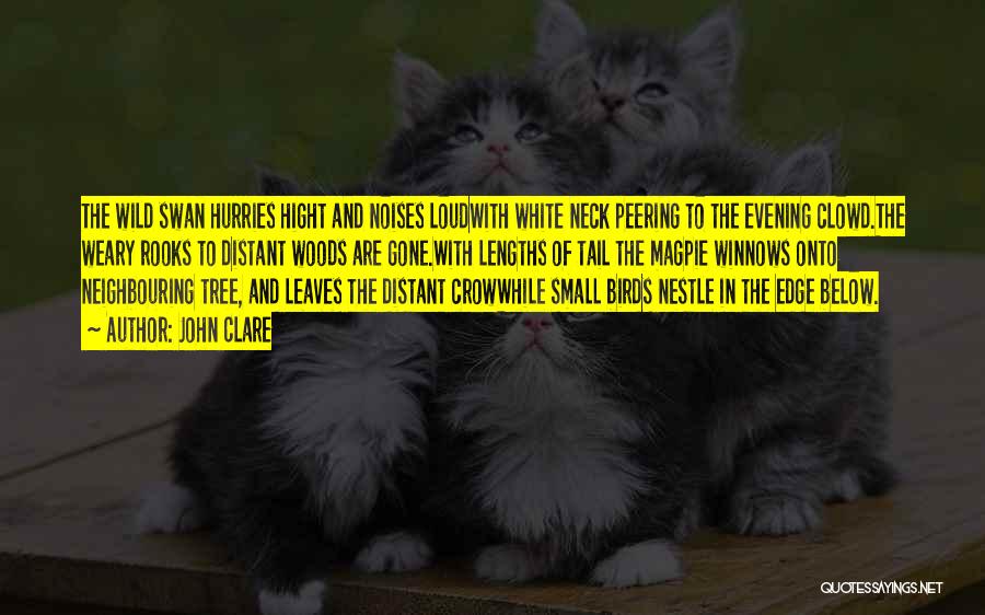 John Clare Quotes: The Wild Swan Hurries Hight And Noises Loudwith White Neck Peering To The Evening Clowd.the Weary Rooks To Distant Woods