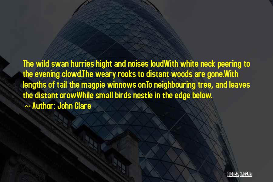 John Clare Quotes: The Wild Swan Hurries Hight And Noises Loudwith White Neck Peering To The Evening Clowd.the Weary Rooks To Distant Woods