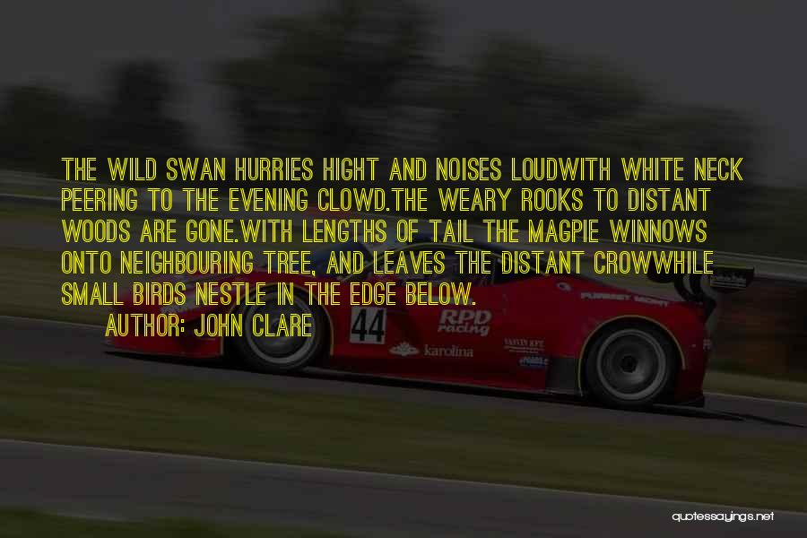 John Clare Quotes: The Wild Swan Hurries Hight And Noises Loudwith White Neck Peering To The Evening Clowd.the Weary Rooks To Distant Woods