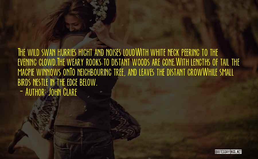 John Clare Quotes: The Wild Swan Hurries Hight And Noises Loudwith White Neck Peering To The Evening Clowd.the Weary Rooks To Distant Woods