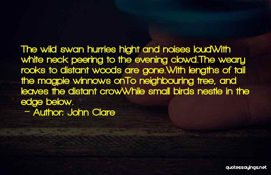 John Clare Quotes: The Wild Swan Hurries Hight And Noises Loudwith White Neck Peering To The Evening Clowd.the Weary Rooks To Distant Woods