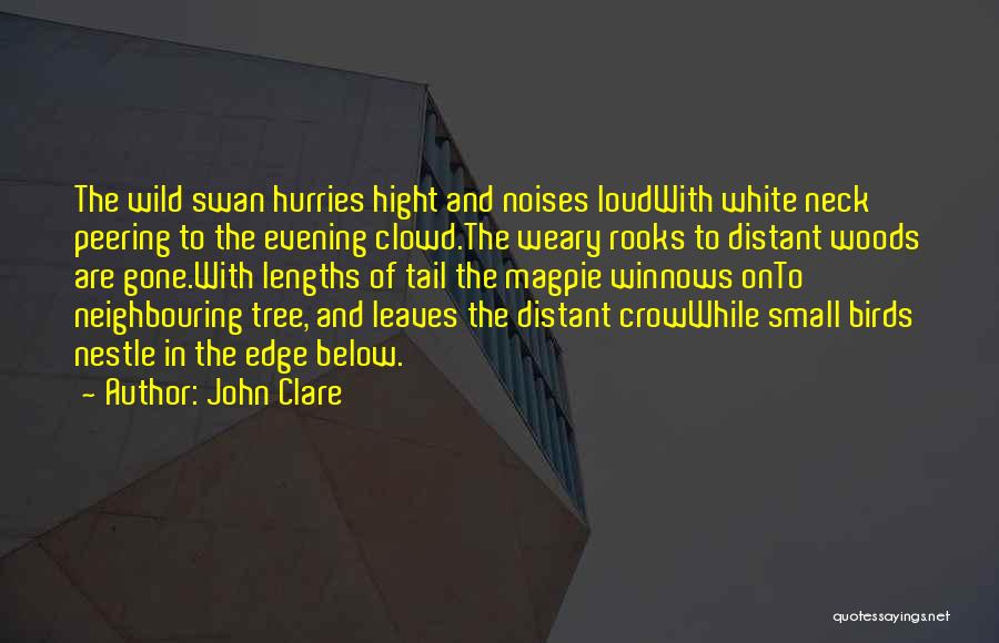 John Clare Quotes: The Wild Swan Hurries Hight And Noises Loudwith White Neck Peering To The Evening Clowd.the Weary Rooks To Distant Woods