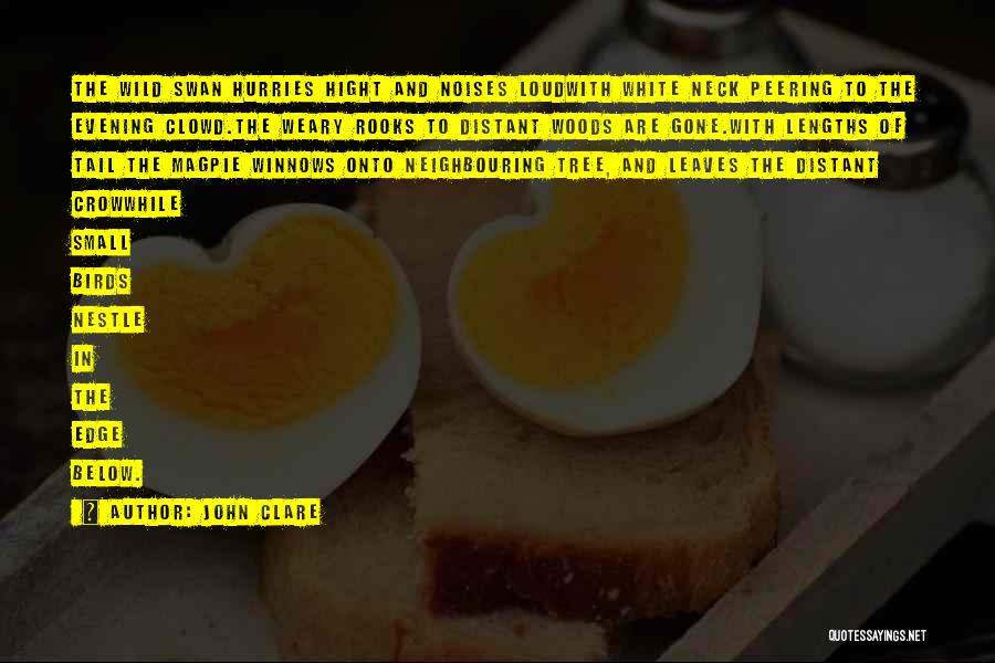 John Clare Quotes: The Wild Swan Hurries Hight And Noises Loudwith White Neck Peering To The Evening Clowd.the Weary Rooks To Distant Woods