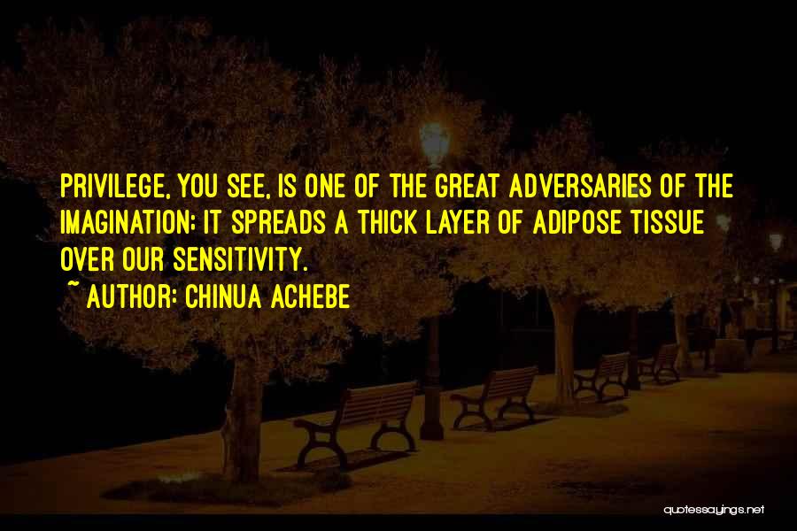 Chinua Achebe Quotes: Privilege, You See, Is One Of The Great Adversaries Of The Imagination; It Spreads A Thick Layer Of Adipose Tissue