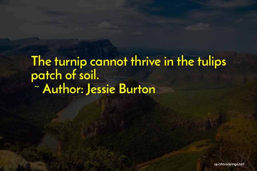 Jessie Burton Quotes: The Turnip Cannot Thrive In The Tulips Patch Of Soil.