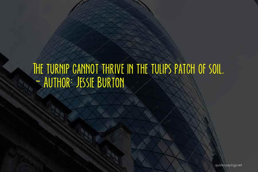 Jessie Burton Quotes: The Turnip Cannot Thrive In The Tulips Patch Of Soil.