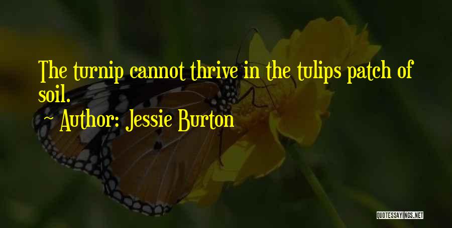 Jessie Burton Quotes: The Turnip Cannot Thrive In The Tulips Patch Of Soil.