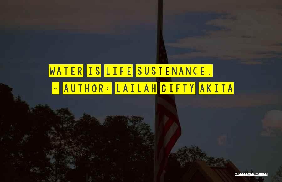 Lailah Gifty Akita Quotes: Water Is Life Sustenance.