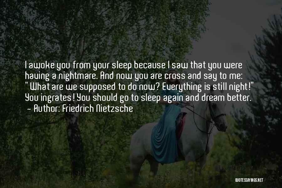Friedrich Nietzsche Quotes: I Awoke You From Your Sleep Because I Saw That You Were Having A Nightmare. And Now You Are Cross