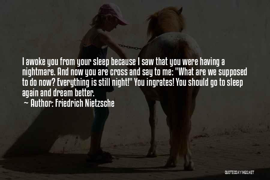 Friedrich Nietzsche Quotes: I Awoke You From Your Sleep Because I Saw That You Were Having A Nightmare. And Now You Are Cross