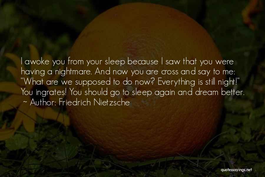 Friedrich Nietzsche Quotes: I Awoke You From Your Sleep Because I Saw That You Were Having A Nightmare. And Now You Are Cross