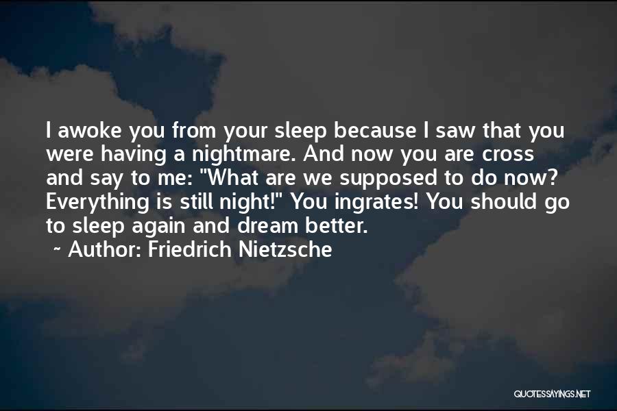 Friedrich Nietzsche Quotes: I Awoke You From Your Sleep Because I Saw That You Were Having A Nightmare. And Now You Are Cross