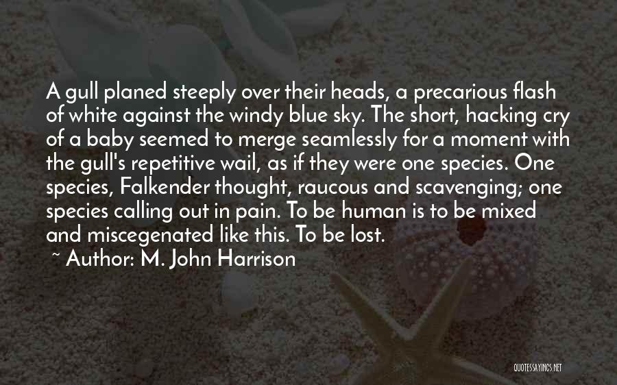 M. John Harrison Quotes: A Gull Planed Steeply Over Their Heads, A Precarious Flash Of White Against The Windy Blue Sky. The Short, Hacking